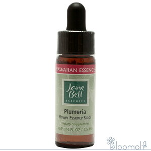 t[GbZX WF[xnCAGbZX VOGbZX vA