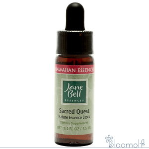 �t�����[�G�b�Z���X �W�F�[���x���n���C�A���G�b�Z���X �V���O���G�b�Z���X �Z�C�N���b�h�N�G�X�g