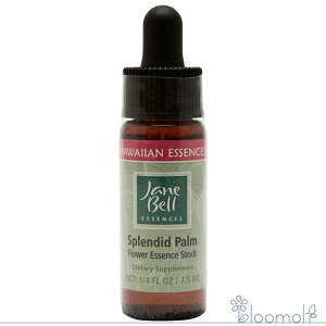 t[GbZX WF[xnCAGbZX VOGbZX XvfBbhp[