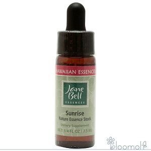 t[GbZX WF[xnCAGbZX VOGbZX TCY