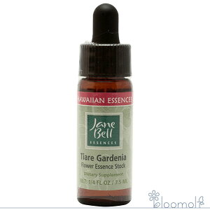 t[GbZX WF[xnCAGbZX VOGbZX eBAK[fjA