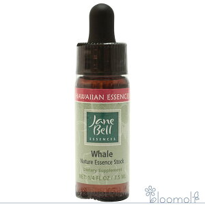 t[GbZX WF[xnCAGbZX VOGbZX zG[