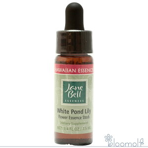 t[GbZX WF[xnCAGbZX VOGbZX zCg|h[