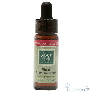 t[GbZX WF[xnCAGbZX VOGbZX ECh