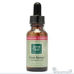 t[GbZX WF[xnCAGbZX Rrl[VtH[~ N[XC[v  30ml