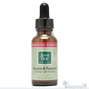 t[GbZX WF[xnCAGbZX Rrl[VtH[~ pbVp[pX ̌ 30ml