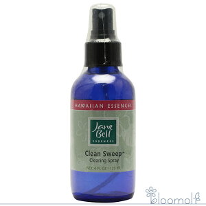 t[GbZX WF[xnCAGbZX Xv[ N[XC[vXv[ 120ml