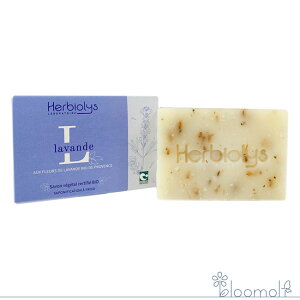 t[GbZX WFZs[ R[hvX\[v x_[ Lavande