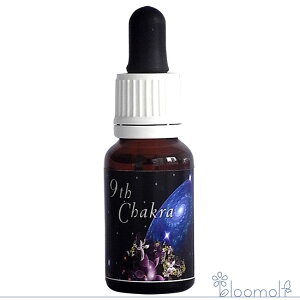 t[GbZX uYAP~[ 9th`NGbZX