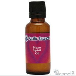 t[GbZX pVtBbNGbZX n[gXsbg n[gXsbgIC