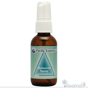 t[GbZX pVtBbNGbZX oT[ oT[Xv[