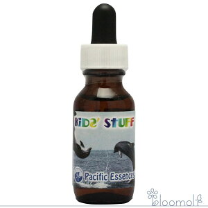 t[GbZX pVtBbNGbZX ViW[tH[~ LbYX^bt