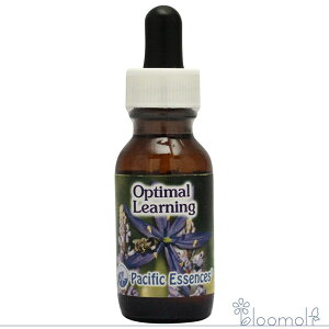 t[GbZX pVtBbNGbZX ViW[tH[~ IveB}[jO