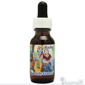 t[GbZX pVtBbNGbZX _̃GbZX _[