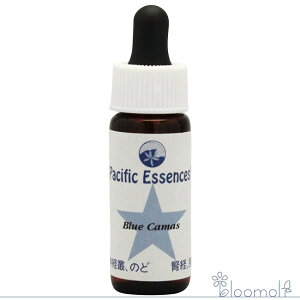 t[GbZX pVtBbNGbZX Lbg1 u[J}X