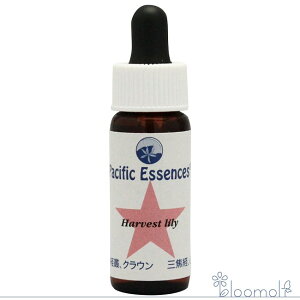 t[GbZX pVtBbNGbZX Lbg1 n[xXg[