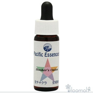 t[GbZX pVtBbNGbZX Lbg1 tbJ[YIjI