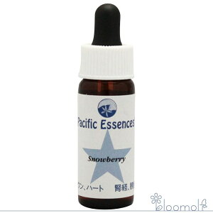 t[GbZX pVtBbNGbZX Lbg1 Xm[x[