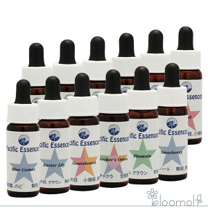 t[GbZX pVtBbNGbZX Lbg1 S12{Zbg