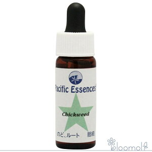 t[GbZX pVtBbNGbZX Lbg2 `bNEB[h