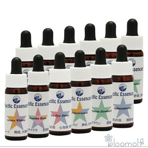 t[GbZX pVtBbNGbZX Lbg2 Lbg2 S12{Zbg