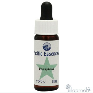 t[GbZX pVtBbNGbZX Lbg3 tH[VVA