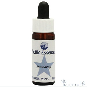 t[GbZX pVtBbNGbZX Lbg3 Xm[hbv