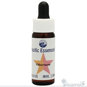 t[GbZX pVtBbNGbZX Lbg3 oCo[i