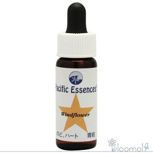 t[GbZX pVtBbNGbZX Lbg3 EBht[