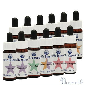 t[GbZX pVtBbNGbZX Lbg3 S12{Zbg