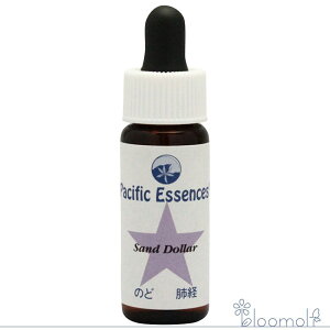 t[GbZX pVtBbNGbZX V[GbZX Lbg4 Th_[