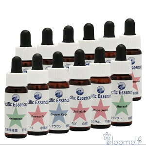 t[GbZX pVtBbNGbZX V[GbZX Lbg4 V[GbZX Lbg4 S12{Zbg