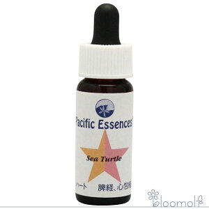 t[GbZX pVtBbNGbZX V[GbZX Lbg5 V[^[g