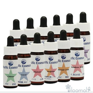 t[GbZX pVtBbNGbZX V[GbZX Lbg5 S12{Zbg