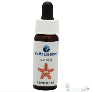 t[GbZX pVtBbNGbZX WFGbZX Ao[GbZX 