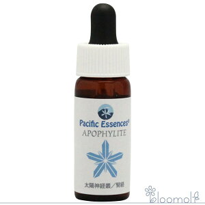 t[GbZX pVtBbNGbZX WFGbZX A|tBCg 