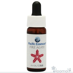 t[GbZX pVtBbNGbZX WFGbZX t@C[AQ[g t@C[AQ[g