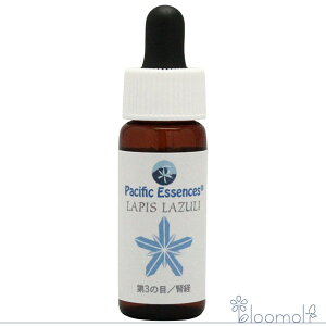 t[GbZX pVtBbNGbZX WFGbZX sXY ڗ