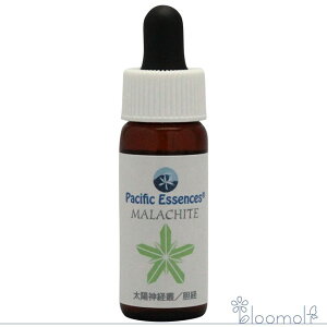 t[GbZX pVtBbNGbZX WFGbZX }JCg E