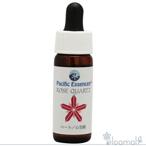 t[GbZX pVtBbNGbZX WFGbZX [YNH[c g