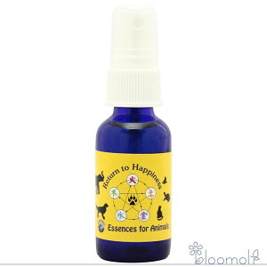 t[GbZX pVtBbNGbZX Aj}V[Y ^[gDnslXXv[