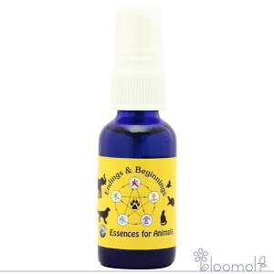 t[GbZX pVtBbNGbZX Aj}V[Y GfBOAhrMjOXv[