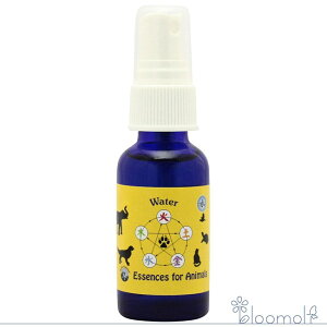 t[GbZX pVtBbNGbZX Aj}V[Y  Water Xv[