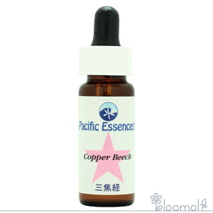 t[GbZX pVtBbNGbZX c[GbZX Rbp[r[` Copper Beech