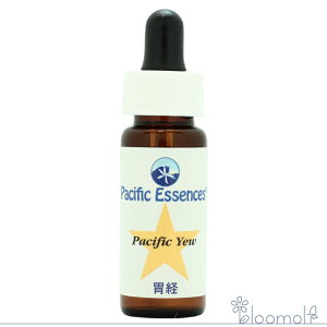 t[GbZX pVtBbNGbZX c[GbZX pVtBbN[ Pacific Yew