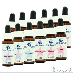 t[GbZX pVtBbNGbZX c[GbZX c[GbZX S12{Zbg