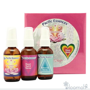 t[GbZX pVtBbNGbZX ̑ Xv[MtgBOX