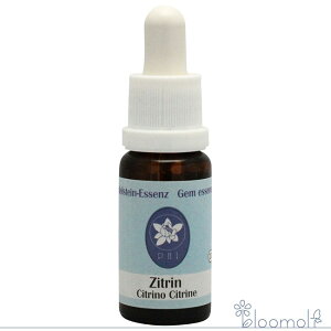 �V�g���� �R���ePHI�G�b�Z���X �W�F���G�b�Z���X