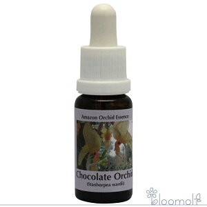 t[GbZX RePHIGbZX A}]I[LbhGbZX `R[gI[Lbh