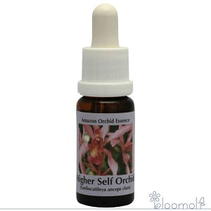 t[GbZX RePHIGbZX A}]I[LbhGbZX nC[ZtI[Lbh